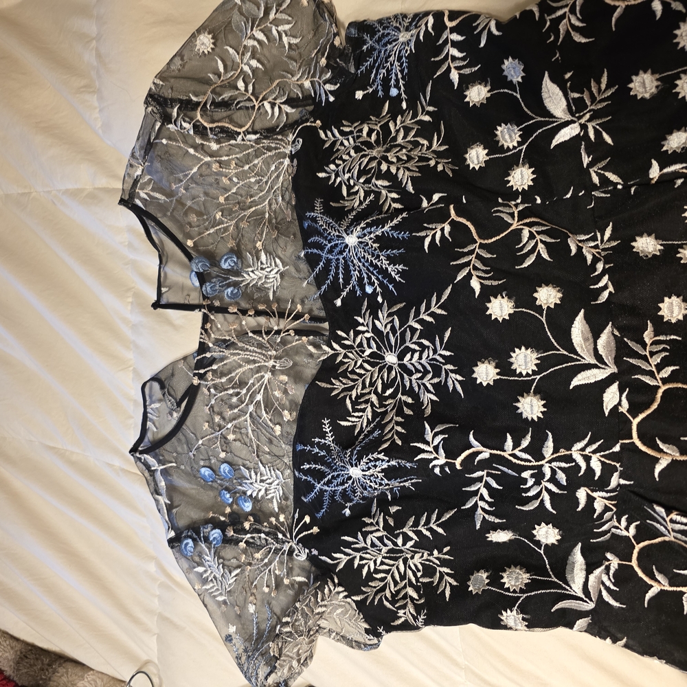 Adrianna Papell Black and Silver High Low Dress